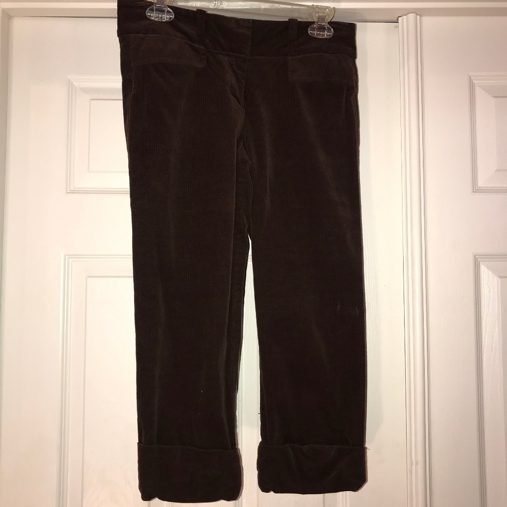 BEBE capri cords